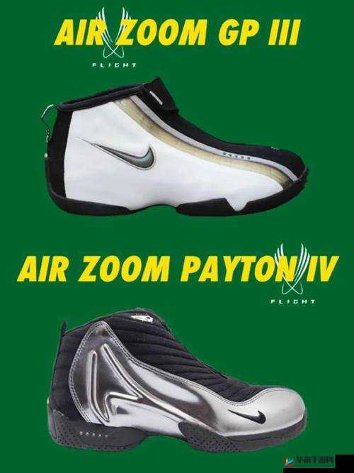 ZOOM 另一类 ZZO03 的独特魅力