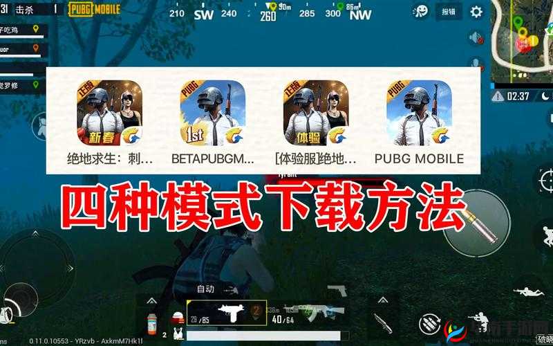 国外 B 站刺激战场直播 APP 下载及相关内容