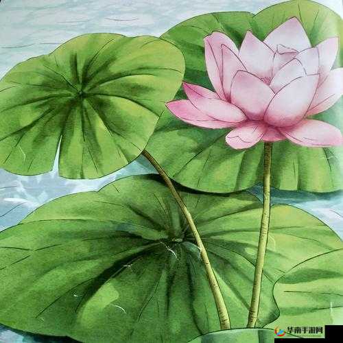 探寻功夫少林手游呱呱咚获取途径及技能奥秘