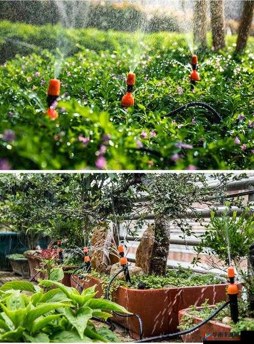 hp 公交车灌溉系统：男女均可使用的神器