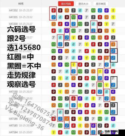 嫩叶草 M 码和澳洲码的区别解析