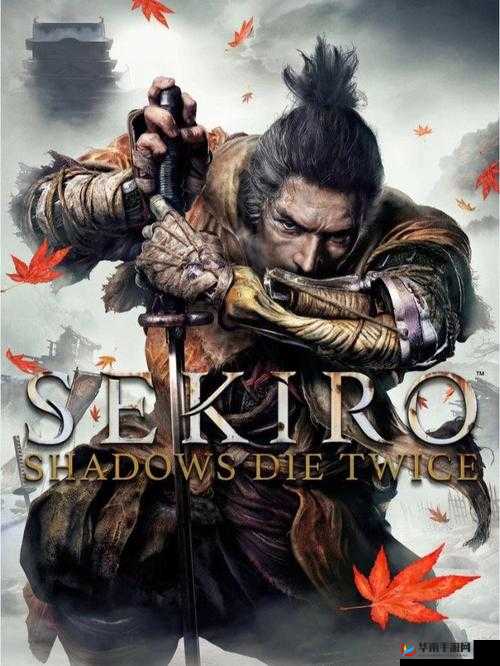 《只狼:影逝度》小矮人与重藏胖子的斗笠战术攻略