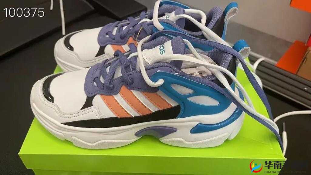 三叶草 gw6797 之独特魅力展现