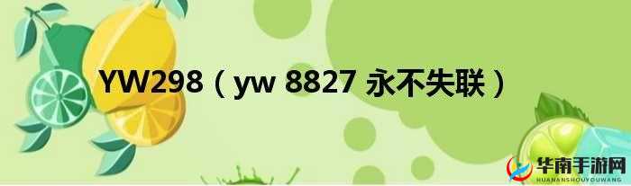 yw 永不失联国际 2024：开启全新征程
