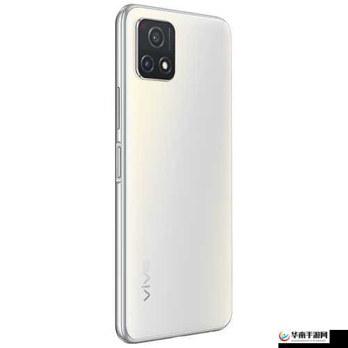 可靠一级成色好的 y31s 标准版:超值之选