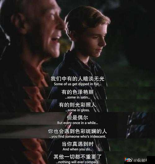 黯淡:从拒绝到接受的故事