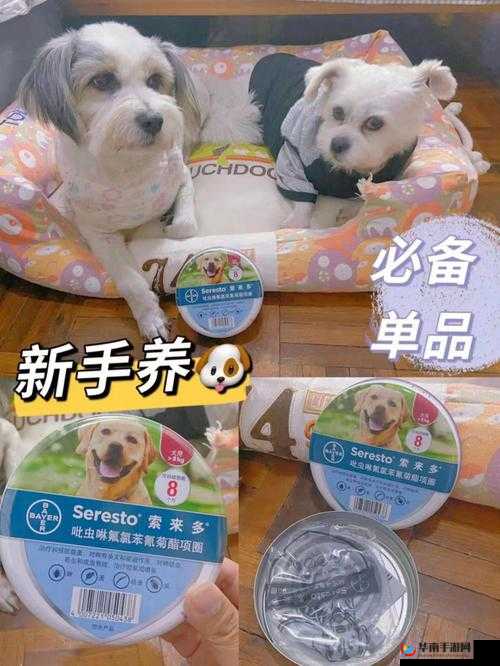 人狗胶配方大全:狗狗一相关内容全解析