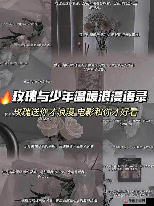 苏大强与苏小暖的第一次相遇：浪漫邂逅之始