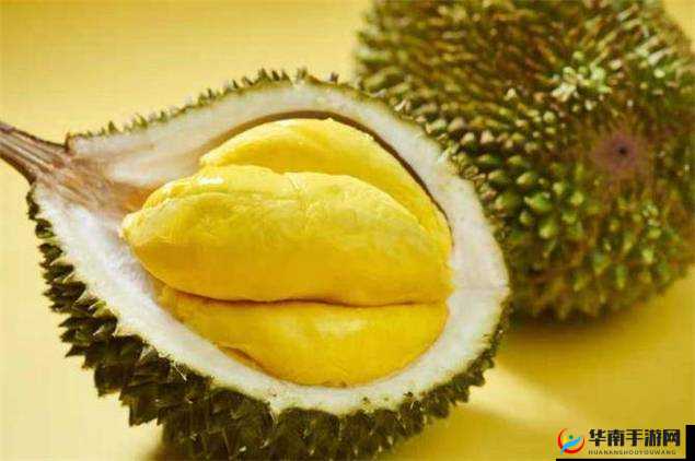 小丑萝卜的鼻子在 12 月 9 日的答案所呈现的颜色究竟是什么