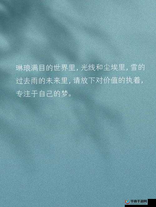 zw 时看的文案图片：独特视角的精彩呈现