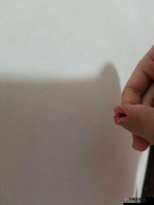 这皮算长吗男孩百度知道：你知道答案吗