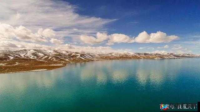 无人区编码 6229 达观天下事：揭秘未知世界的密码