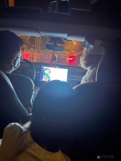 两个人夜晚在车上能干什么:一些有趣的选择