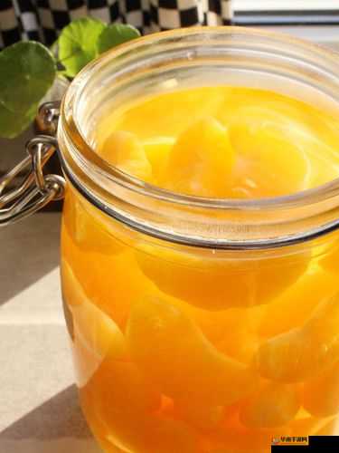 可不可以 PO 橘子糖水：做法分享