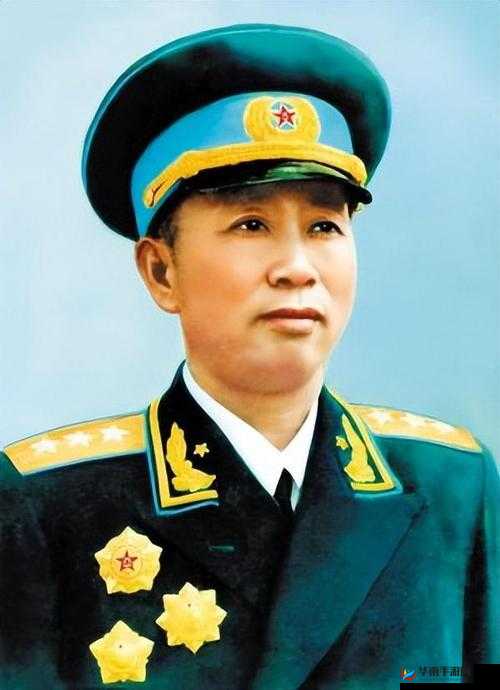 关于水果子弹从 49 级升至 50 级所需金币数量的探讨