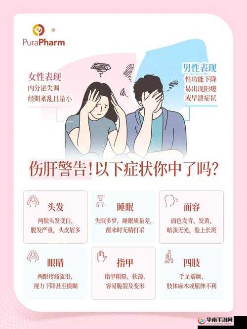 办公室强肝：精彩内容准时相约