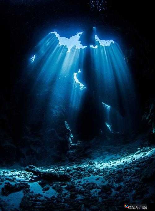 给我扣扣里面的：神秘而未知的领域