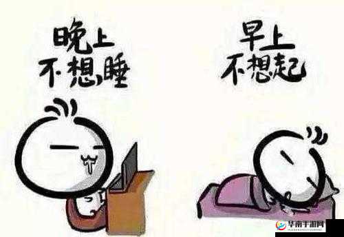 男生晚上睡不着，想找点什么来打发时间