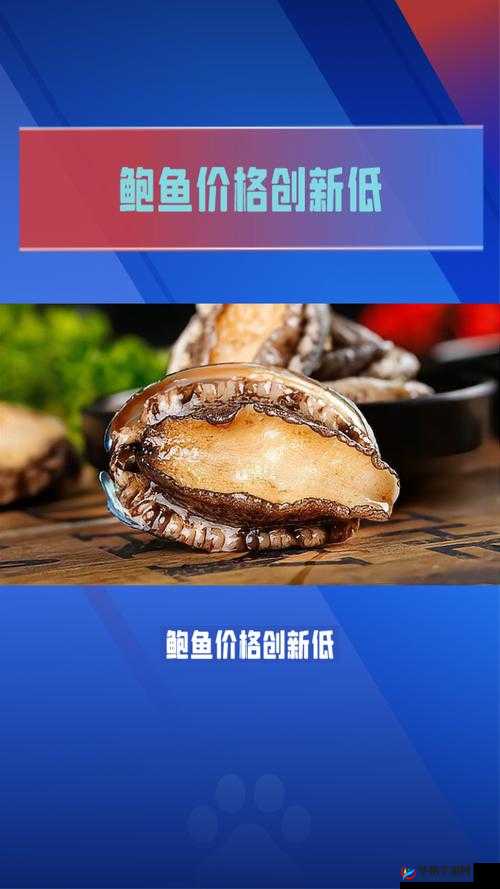 鲍鱼一般人吃得起吗：探究背后的消费真相