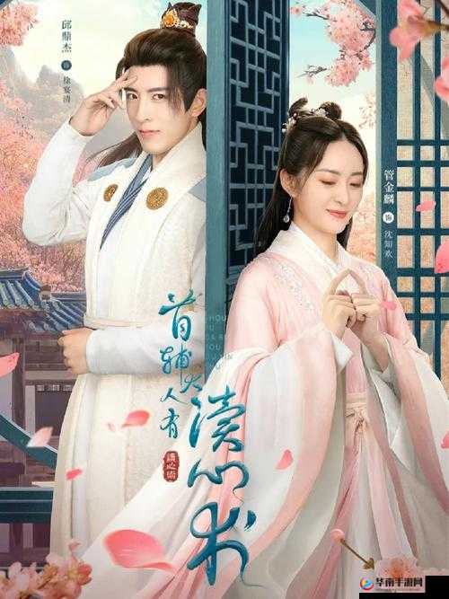 首辅大人 1v2 沈兮风：朝堂风云与情感纠葛