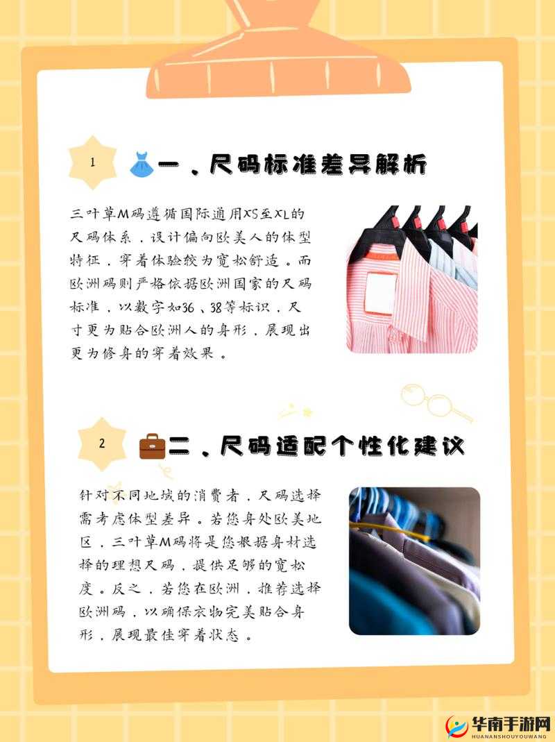 三叶草 M 码与欧洲码区别详解