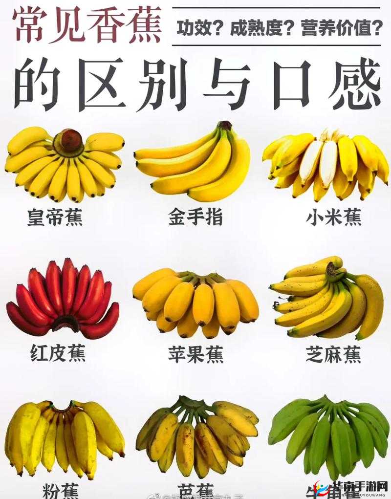 香蕉十八度和二十三度有何区别