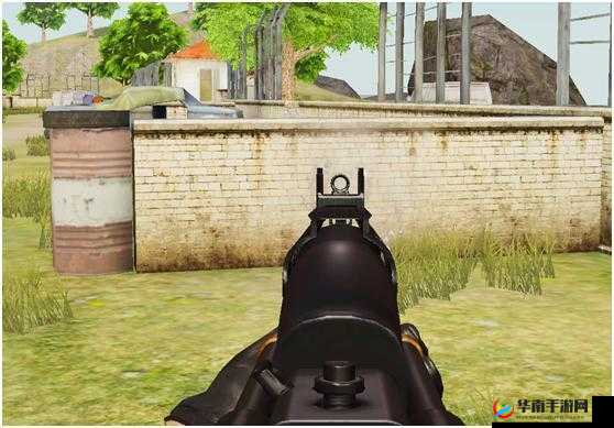 荒野行动机瞄之王：顶级裸枪选择指南