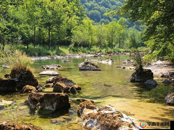 亚洲无人区码一码二码三码:独特的自然景观和生态环境