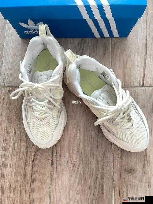 三叶草 gw1155 性能及相关探讨