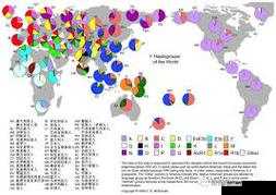 日本人与欧洲人 DNA 相似度研究