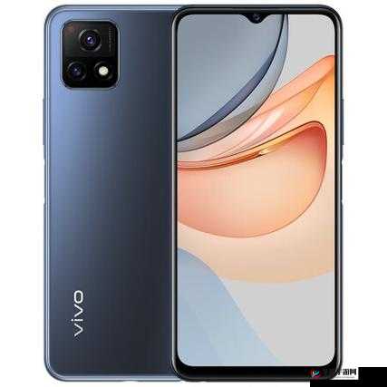 成色好的 Y31S 标准版：卓越品质值得拥有