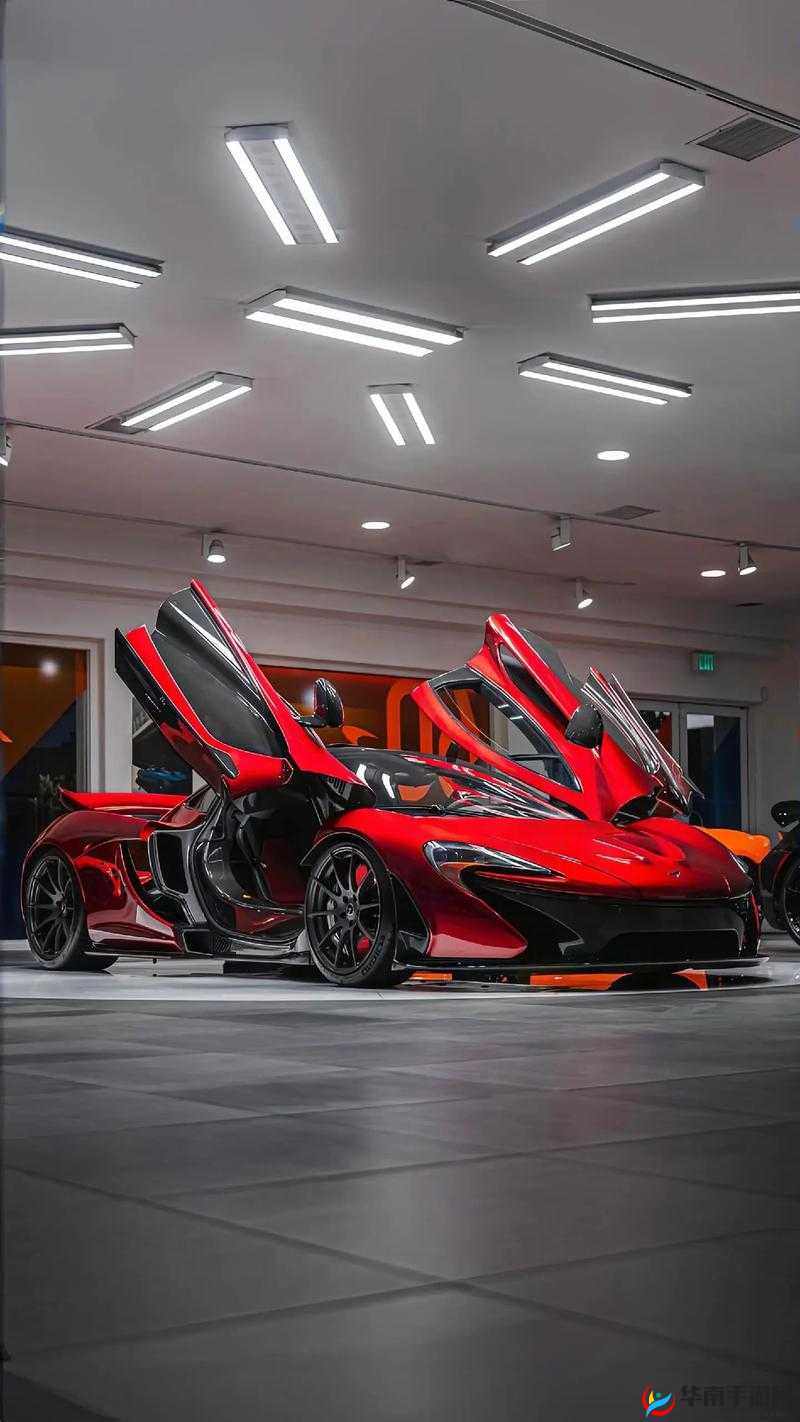 一起草:超越想象的奇妙体验