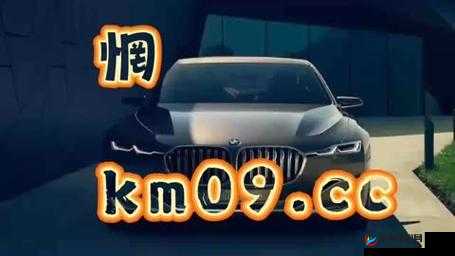 8x8x.io 最新地域网名 IP 查询：实用工具指南