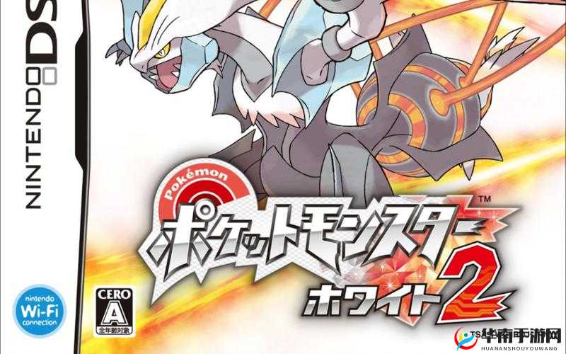 精灵宝可梦通关必备：实战强宠推荐指南