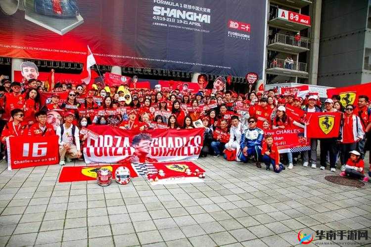 GOGOGO 大胆人文艺术观后感之我见