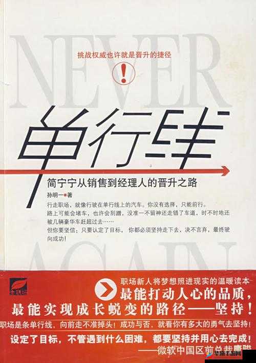 大圣西游升级攻略:疾速晋升之路