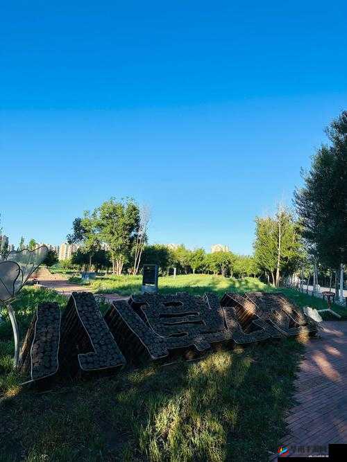 小草回家永不迷路 2024：踏上归家之路，不再迷失方向