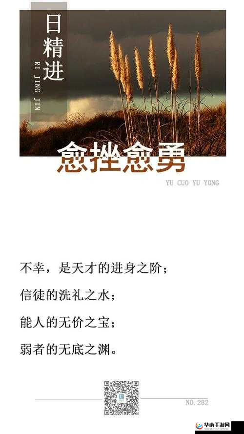 日日精进久久为功：持续努力方得成功