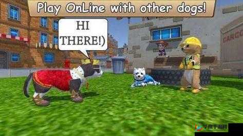 最新 Zoom 动物马：超越时空的奇幻旅程