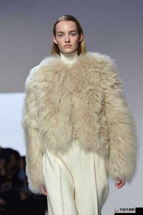 AAAA 级毛皮:纯还是仿?探讨其品质属性