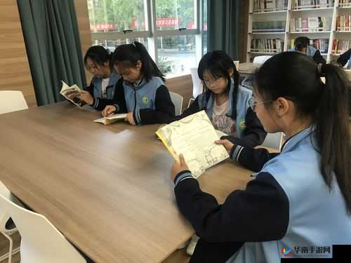 收入囊中校园 HPN 免费阅读：精彩呈现