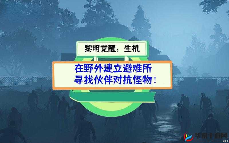 《黎明觉醒生机：拾荒者的生存之道与独特作用详解》