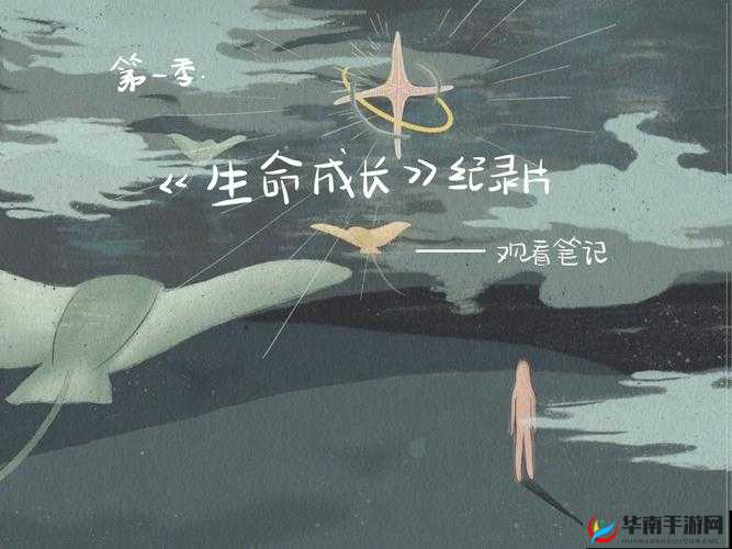 成长的秘密纪录片免费观看：探索未知的成长之路