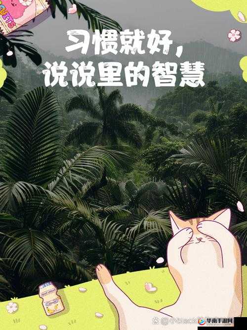 出租房里的交互高康张睿:奇妙故事待开启