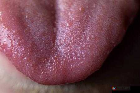 40 岁男人舌头很厉害：能言善辩的魅力