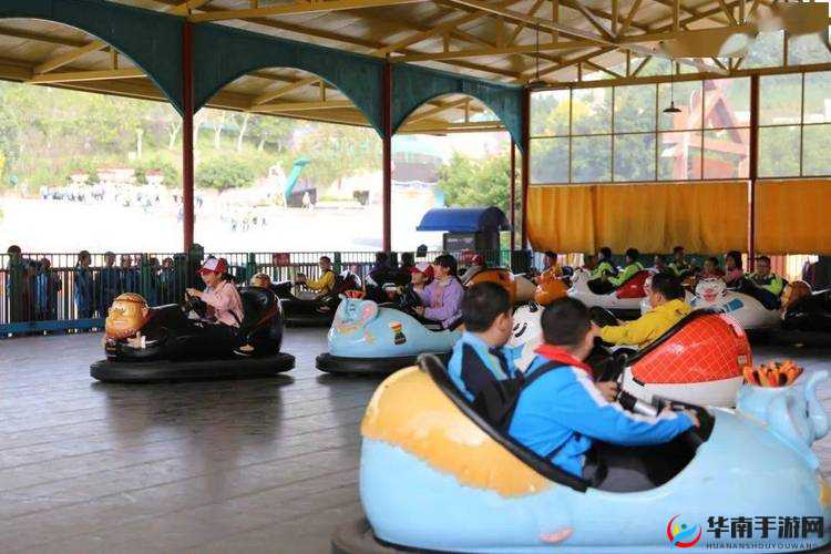 从手到丛林：探索内在的旅程