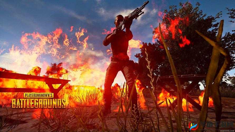 国外 B 站刺激战场直播视频：精彩瞬间呈现