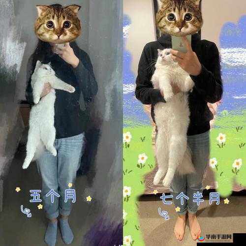 朝阳群众 VS 51 吃瓜群众:别样风采对比