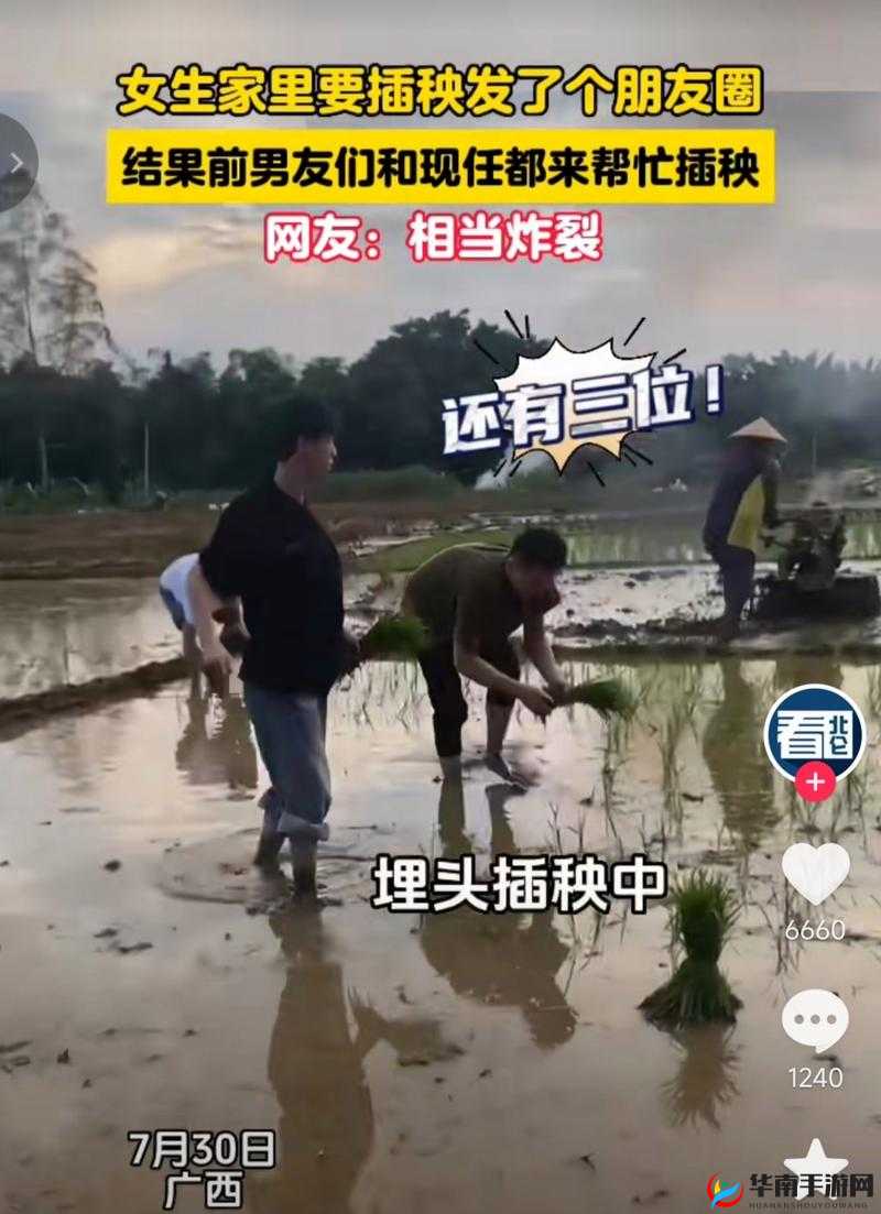 男友说想插秧了怎么回复：幽默回应指南