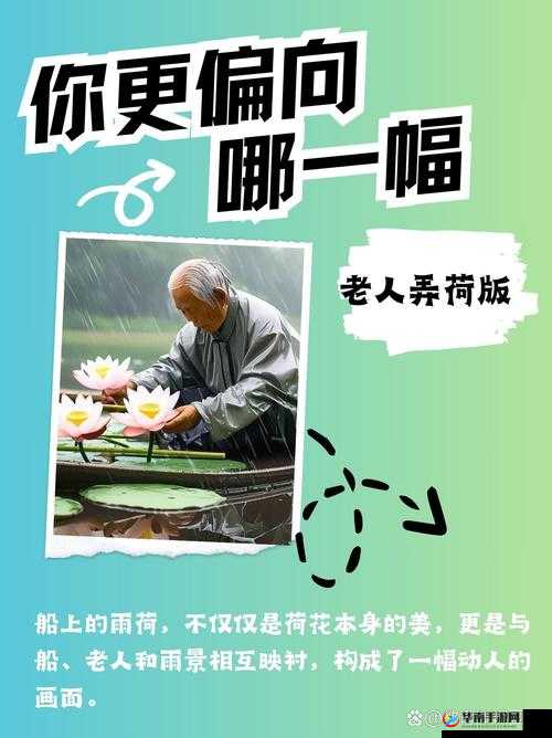 老人船上弄雨荷和普通版对比:差异何在